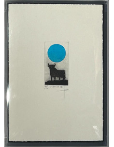 Lámina grabado - Osborne III