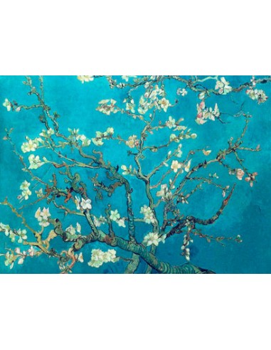 Foulard - Almendro Van Gogh