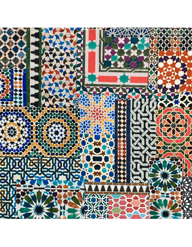 SuperBag: Bolsa Exclusiva y Sostenible