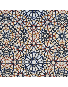 SuperBag: Bolsa Exclusiva y Sostenible 2