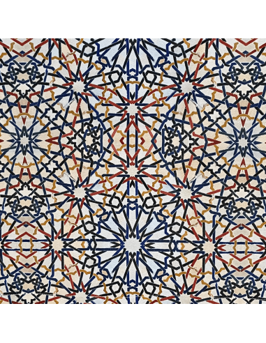 SuperBag: Bolsa Exclusiva y Sostenible