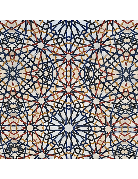 SuperBag: Bolsa Exclusiva y Sostenible