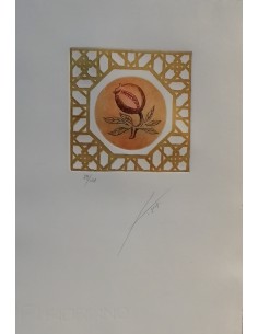 Lámina grabado - Geometría Granada IV