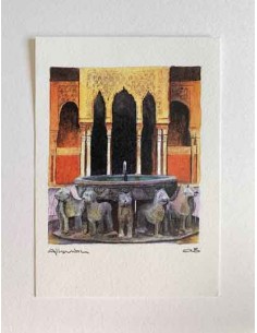 Postal Patio de los Leones