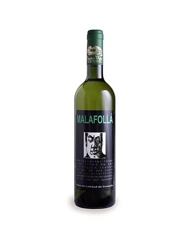 White Wine Malafollá 2019
