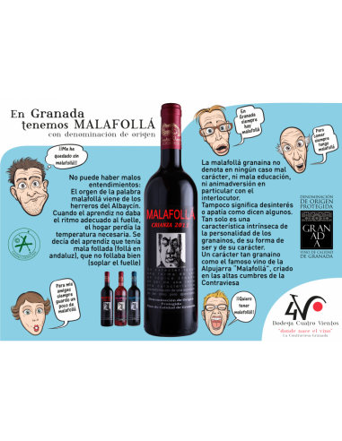 White Wine Malafollá 2019