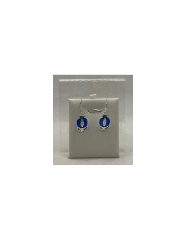 Silver enamel pendant earrings