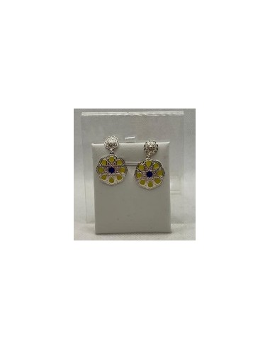 Silver enamel pendant earrings