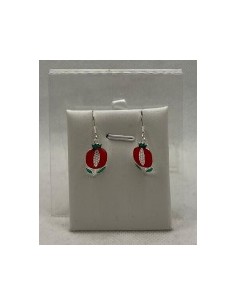 Silver enamel pendant earrings